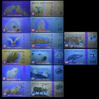 Arctic Territories Animal Banknote Set 14pcs Polar Wildlife Collectible Uv Money
