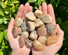 1 Lb Bulk Wholesale Lot Moonstone Tumbled Stones  crystal Healing Reiki Tumble 