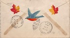 Hand Painted Old Ace Cover - Artist Unknown- 1939- Parrots  Birds
