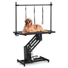 Hydraulic Pet Dog Grooming Table Max Load 350lbs W adjustable Overhead Arm Black