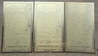  lot Of 3  1 2 Florida Goldbacks 1 2000 Troy Ounce 24k Gold  