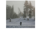 Crescent Moon Luna Snowshoes - Unisex Ultralight Eva Foam Snowshoes For Men And
