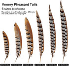 Natural Pheasant Feathers 5pcs Pheasant Tail Feather 6-8inch For Crafts Home Dec