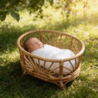 Retro Rattan Basket Chair Newborn Photography Props Infant Posing Bed Background