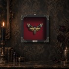 Real Death Head Moth Taxidermy 7  Frame Gothic Halloween Decor K18-01-do-mt