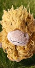 Jellycat Highland Cow Truffles Scottish Plush Rare Retired Tags Vintage Collect