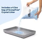Petsafe Scoopfree Reusable Cat Litter Tray With 4 5 Lb Of Premium Blue Non Clump