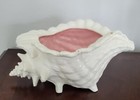 Vtg Ceramic Conch Shell Planter Flower Pot Beach Decor Nautical Atlantic Mold