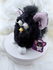 Vtg Gen 1 Witch   s Cat Custom Magic 8 Ball Tiger Electronics Working