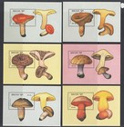 Bhutan Sc 713-736 Mnh  1989 Mushrooms  Cplt Set  12 Stamps   12 Souv Sheets  Vf