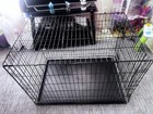 Large Dog Crate