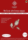 3oz - Brine Shrimp Eggs Jar  Premium Grade 90  Hatch Artemia Eggs