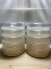 10x 60mm Mushroom Water Agar Plates - Sterile  Pre Pour