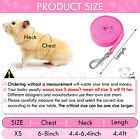 Small Harness Leash Guinea Pig Baby Ferret Rats Hamster Rabbit 2pc W bell