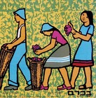 Lot 20 Original 1950 Hebrew Genuine Kkl Posters Portfolio Israel Jewish Judaica