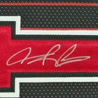 Framed Signed Dennis Rodman 35x39 Chicago Pinstripe Jersey Psa Coa
