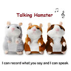 Talking Hamster Plush Toy Lovely Speaking Sound Record Repeat Kids Toy Cute Gift
