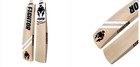 Cricket Bat For Adults Kashmir Willow Full Size
