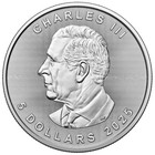 2025 1 Oz Canada 9999 Fine Silver Maple Leaf  5 Coin Bu - In Stock