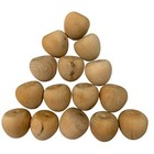 Unfinished Wooden Apples 2 5  Lot Of 15 Rustic Farmhouse Crafting Decor No Stems