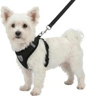 Pet Dog Vest Harnes Puppy Cotton Polyester Adjustable Dog Mesh