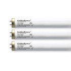 Tanning Bed Lamps Wolff Goldenbronze F71 T12 100 120w Bi-pin Sunquest  Sunvision