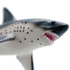 Salmon Shark Animal Figurine Safari Ltd  Toy Wild Safar Sea Life Collection