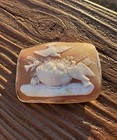 Outstanding Victorian Hand Carved Cameo Set Silver