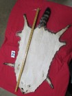Tanned Raccoon Pelt With Feet Claws Winter Hide Skin Animal Fur Good Leather