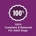 Purina Dog Chow Complete Dry Dog Food For Adult Dogs High Protein  Lamb  18 5 Lb