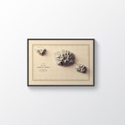 Tahiti Map  Tahiti 2d Relief Map  Tahiti Vintage Map - 2d Flat
