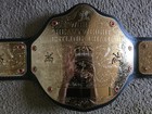Big Gold World Heavyweight Championship Replica Title Belt Adult From Fanatics