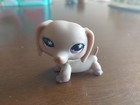 Rare Lps Daschund Pink Eyes 2006 
