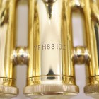 Yamaha Flugelhorn Yfh-8310z 2nd Generation