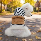 Pet Dog Clothes Autumn Winter Warm Two Feet Hoodie Sweater Costume Puppy Apparel