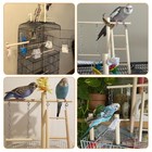 Pinvnby Bird Playground  Wood Parrot Play Gym Stand Perch Bird Cage Accessori   