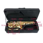 Golden Alto Saxophone Eb Flat Sax Brass Instrument With Case Accessories New