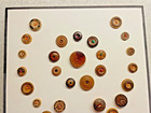 Card 42 Vegetable Ivory Tagua Nut Buttons -- Natural Bark   10 Whistles S-m