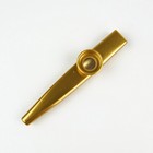 Metal Kazoo Flute Diaphragm Mouth Harmonica Wind Instrument  Gold Plated