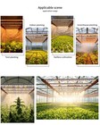 6500w Professional Grow Light   High Yield Growing Lamp For Commercial Grow Tent