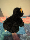 Webkinz Lil  Kinz - Black Bear Nwt Hs004 Brand New -w code