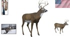 Outdoors 5965ms Boss Buck - Lifelike Whitetail Deer Decoy