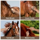 Horse Grooming Kit 14 Piece  Horse Brushes For Grooming Supplies Set With Organi