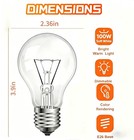 100 Watt Incandescent Light Bulbs  A19 Clear Incandescent Rough Service Light   