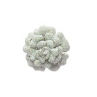 7 80 Carats Diamond Pave 18k White Gold Flower Brooch-pendant