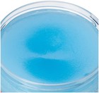 Dax Super Lite Pomade  14 Ounce 14 Fl Oz  pack Of 1   B0001411wg