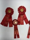 Lot Of 7 Vintage 1963 Pony Horse Equestrian Show Ribbons