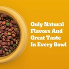 Pedigree Grilled Beef grain  Steak And Vegetable Flavor Adult Dry Dog Food-44lbs