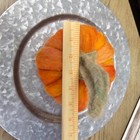 Needle Felted Pumpkin  Fall  Halloween Decor 