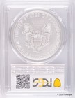 2019-w  1 Burnished Silver Eagle - Pcgs Sp69